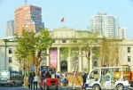 两棵粗壮的老梧桐树矗立在武汉美术馆前。记者苗剑 摄 - 新浪湖北