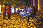 昨晚，江城迎来大风降温天气，台北路落叶缤纷而下，铺满道路 记者任勇 摄 - 新浪湖北