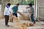 留学生参加校园大扫除活动 - 武汉大学