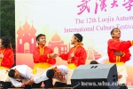 国际文化节：一带一路一家人 - 武汉大学