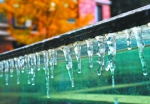 昨天，在武昌南湖花园一小区车库顶棚，包裹着的薄冰和冰柱。记者胡伟鸣 摄 - 新浪湖北