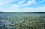 中央第一环保督察组近日在反馈意见中指出，内蒙古遗鸥国家级自然保护区生态功能已基本丧失。图为该保护区核心区干涸的湖底  据中新社 - 新浪湖北