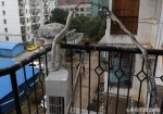 阳台上的空调被烧坏。记者杨涛 摄 - 新浪湖北