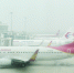 图为大雾中的天河机场停机坪 记者胡冬冬 摄 - 新浪湖北