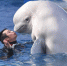 90后”小伙与他的白鲸宠物 - Hb.Xinhuanet.Com