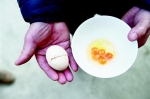 图为市民打一个鸡蛋出现5个蛋黄 - 新浪湖北
