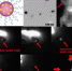 光学分子影像肿瘤手术导航研究再获新突破 - 武汉大学