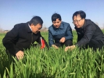2017年全国春季农作物病虫害防治现场会在襄阳召开 - 农业厅