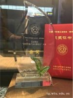 我校学子获“绿色纤维产品创意设计大赛”金奖 - 武汉纺织大学