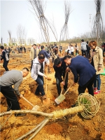 校友捐建“桃李林”迎接母校六十华诞 - 武汉纺织大学