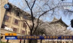 一日看尽樱之华（组图） - 武汉大学