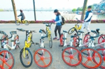昨日，东湖绿道内整齐停放着多种品牌的共享单车    记者任勇 摄 - 新浪湖北