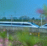 荆门桥工段打造外美内实设备 助力赏花客畅游花花世界 - 武汉铁路局