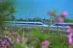 荆门桥工段打造外美内实设备 助力赏花客畅游花花世界 - 武汉铁路局