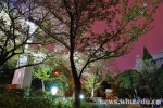 夜行母校（组图） - 武汉大学