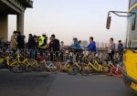 武汉长江大桥被共享单车占领 50辆车歪倒随意停(图) - 新浪湖北