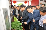 全省蔬菜产业优化结构现场观摩培训班在武汉市江夏区举办 - 农业厅