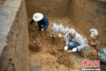 重庆涪陵发现一东汉古墓 距今约1800年 - Whtv.Com.Cn