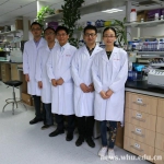 《自然•医学》发表李红良团队非酒精性脂肪肝研究成果 - 武汉大学