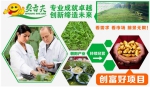 爽舌尖芽苗菜加盟：需求推动有机蔬菜产业蓬勃发展 - Wuhanw.Com.Cn