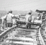 昨天，21号线高架段上施工人员正在铺设轨道   记者周迪 摄 - 新浪湖北