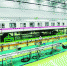 今年下半年武汉轨道交通21号线列车将在江夏批量生产。记者苗剑 摄 - 新浪湖北