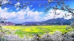 美国CNN强推贵州黄果树大瀑布:中国最美地方之一 - Whtv.Com.Cn