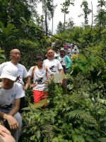 为爱行走，助力雷波，企业家健康跑俱乐部与百名企业家携手丛林穿 - Wuhanw.Com.Cn