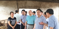 肖伏清赴襄州区调研农业供给侧结构性改革 - 农业厅