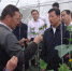 2017湖北省高山蔬菜减施增效现场观摩交流会在长阳县举行 - 农业厅