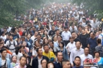 资料图：大批游客进入南京中山陵参观。中新社记者 泱波 摄 - 新浪湖北