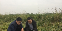 肖伏清赴天门调研指导农业抗灾工作 - 农业厅