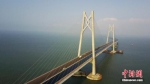 资料图：港珠澳大桥。 中新社记者 陈文 摄 - Hb.Chinanews.Com