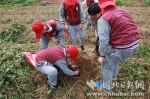 武汉试点中小学研学旅行 课堂开进农场以自然为师 - 新浪湖北