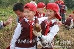 武汉试点中小学研学旅行 课堂开进农场以自然为师 - 新浪湖北
