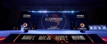 2017年中国游戏行业年会在武汉召开 - 文化厅