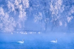 盘点全国最美的雾凇观赏地！冬天不看雾淞等于白过 - Whtv.Com.Cn