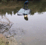 男子连人带车直接冲进了水塘里。 警方供图 - 新浪湖北