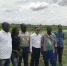 张益明大使考察纳米比亚赞比西省水稻种植中心 - 农业厅