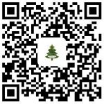 一万棵公里“树”，Jeeper送给沙漠的圣诞礼物 - Wuhanw.Com.Cn
