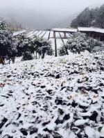 武汉迎来2018年第一场雪 下在了黄陂(图) - 新浪湖北