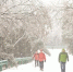图为：游客在木兰山玩雪 - 新浪湖北