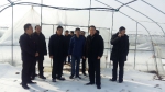 肖伏清赴红安县指导雨雪冰冻灾害抗灾救灾工作 - 农业厅