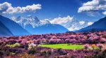 林芝桃花节来了！下个月来西藏邂逅中国最美春天 - Whtv.Com.Cn