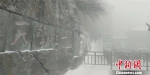 武当山降雪 游客冒雪登山赏景 - Hb.Chinanews.Com