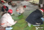 地面画艺术手绘墙如何保持长久的秘诀 - Wuhanw.Com.Cn