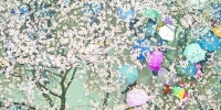 昨日，众多游客冒雨在武汉大学观赏樱花记者任勇摄 - 新浪湖北