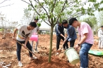 植树造林，给纺大一点色彩 - 武汉纺织大学