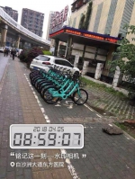 青桔单车被罚15天后再次违规投放武汉 城管连夜暂扣 - 新浪湖北