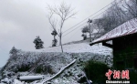 牛庄“清明时节雪纷纷”　熊大福　摄 - 新浪湖北